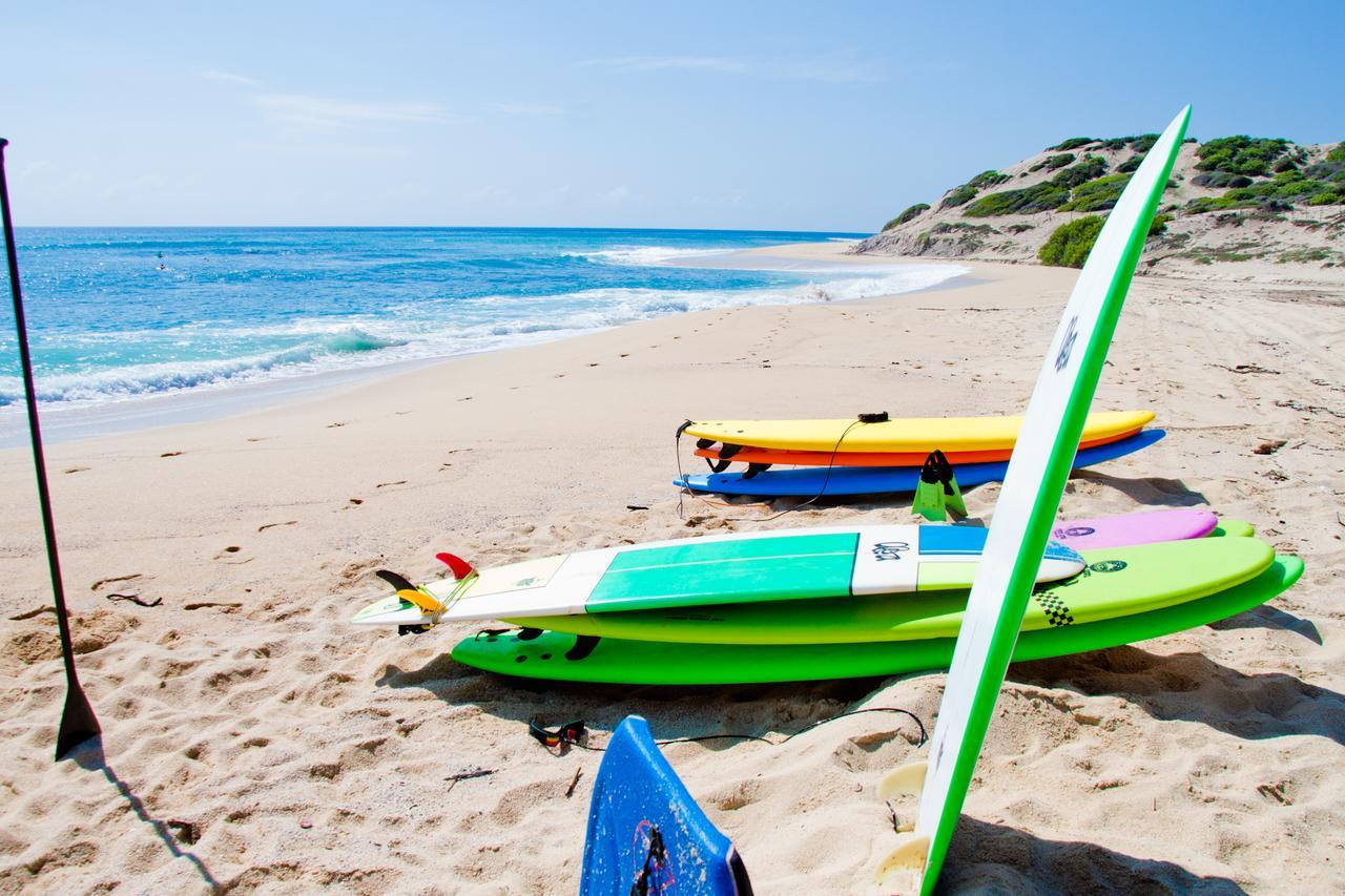 Surf Hostel Cabo "The Riptide" San José del Cabo Екстериор снимка